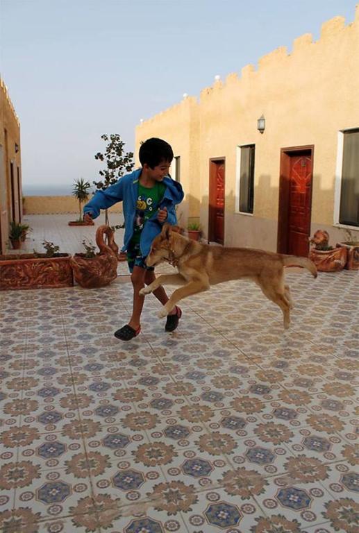 مبيت وإفطار ومركز الغواصين العرب للغوص فندق مبيت وإفطار العقبة