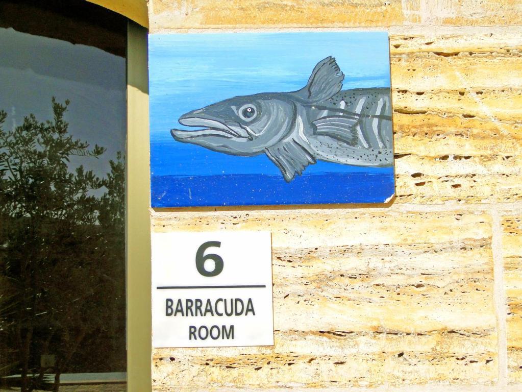 Arab Divers Dive Center And Áqaba
